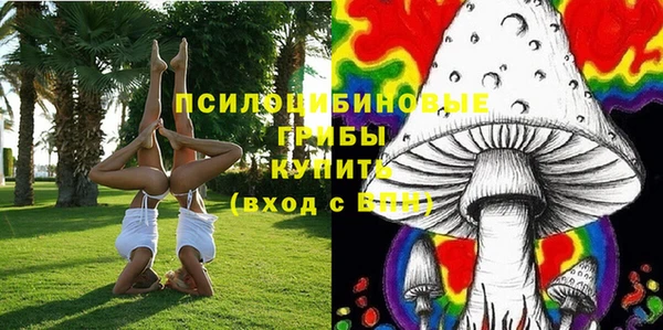 меф Алексин