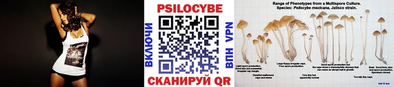 нарко площадка официальный сайт  Харабали  Псилоцибиновые грибы мицелий  купить  цена 